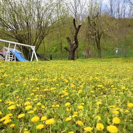 Вилла Honey Hill Fruska Gora