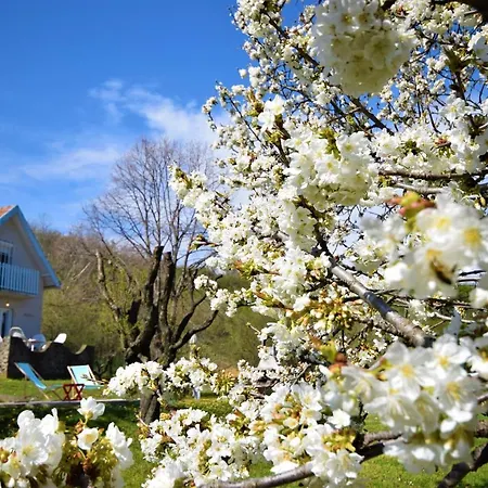 Villa Honey Hill Fruska Gora Cerevic