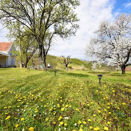 Honey Hill Fruska Gora Villa Cerevic