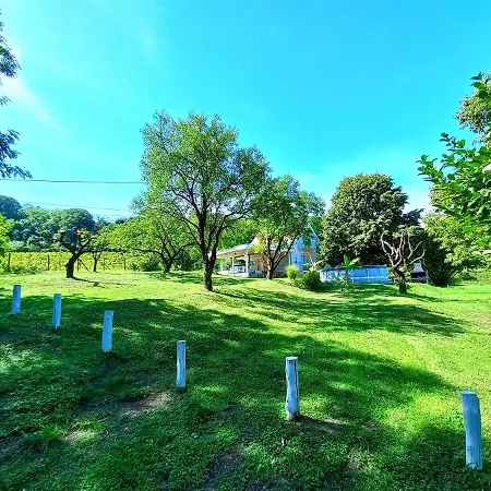 Honey Hill Fruska Gora