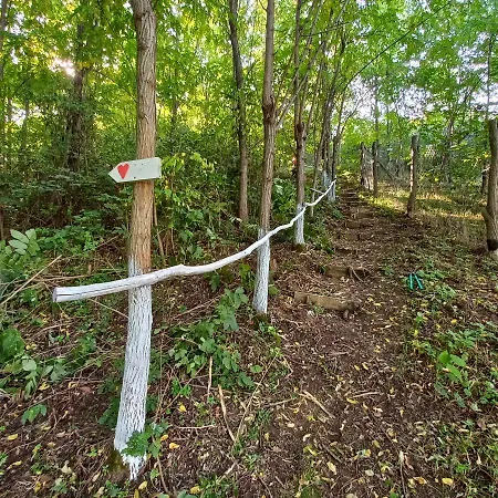 Villa Honey Hill Fruska Gora