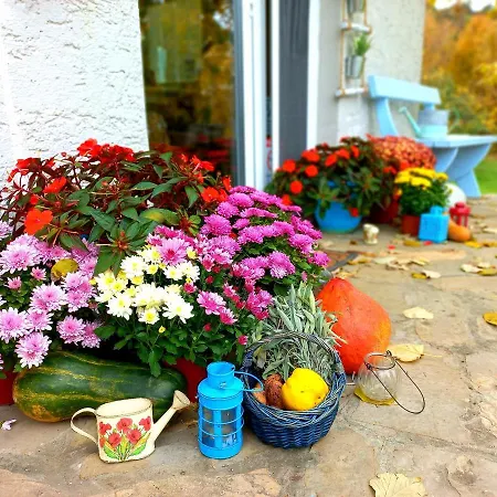 Honey Hill Fruska Gora