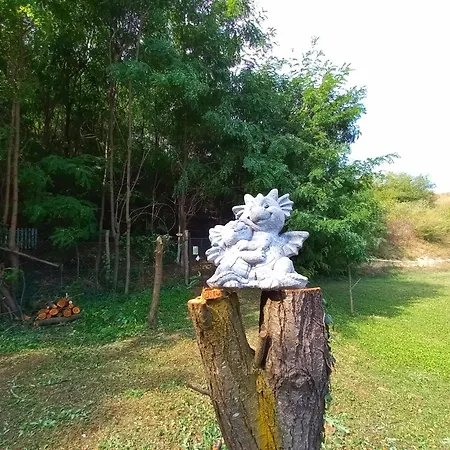 Honey Hill Fruska Gora וילה *