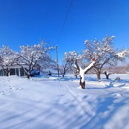 Honey Hill Fruska Gora וילה Cerevic