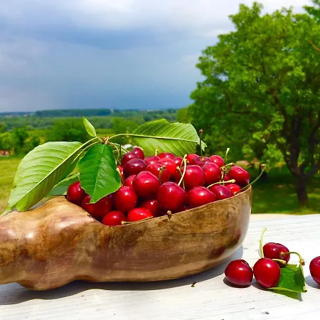 Honey Hill Fruska Gora וילה