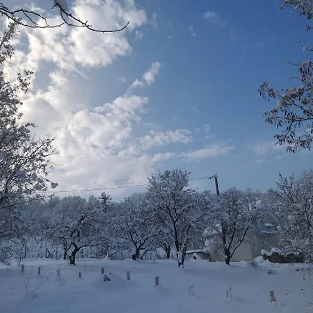 Honey Hill Fruska Gora *