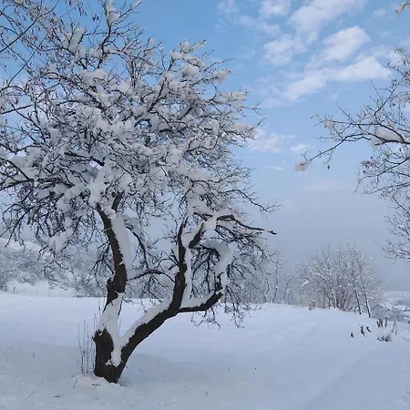 Honey Hill Fruska Gora Villa *