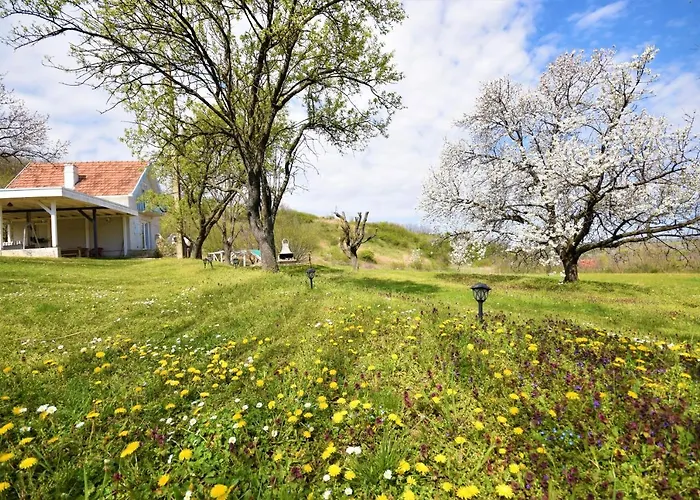 Honey Hill Fruska Gora Villa Cerevic