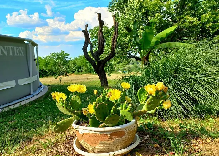 Honey Hill Fruska Gora Villa Cerevic