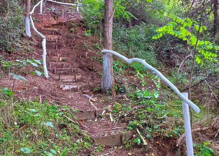 Honey Hill Fruska Gora Cerevic