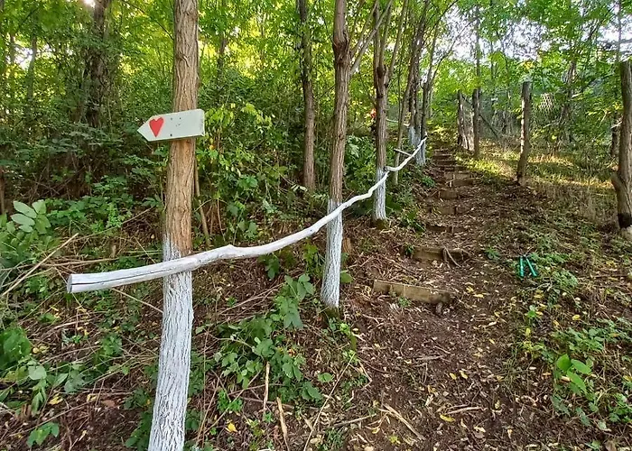 Villa Honey Hill Fruska Gora