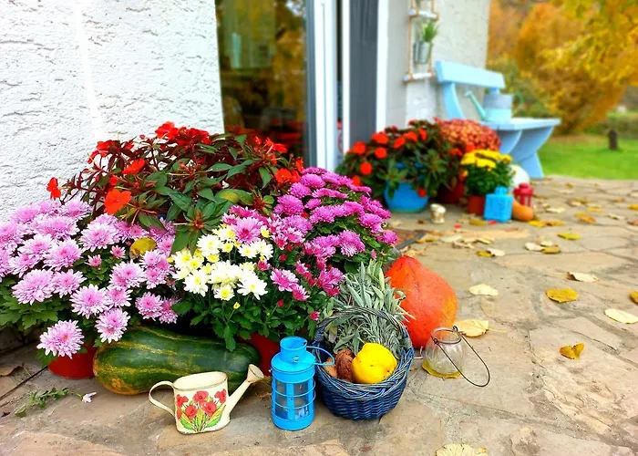 Honey Hill Fruska Gora