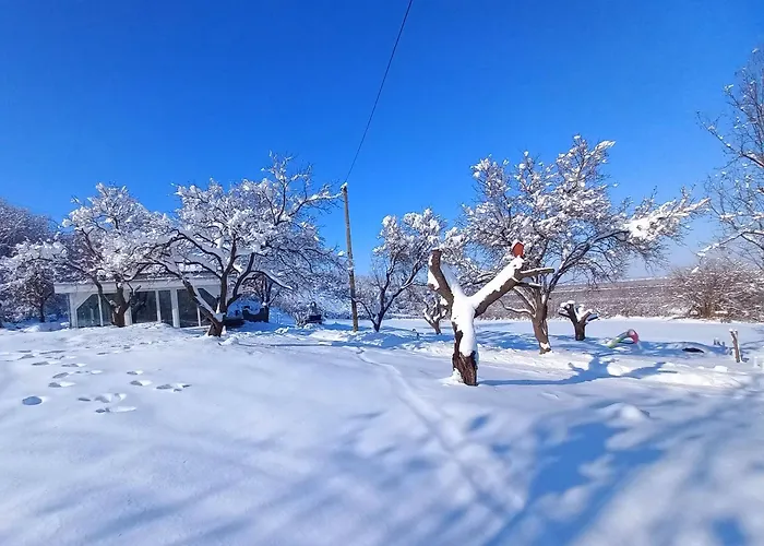 Honey Hill Fruska Gora Villa Cerevic