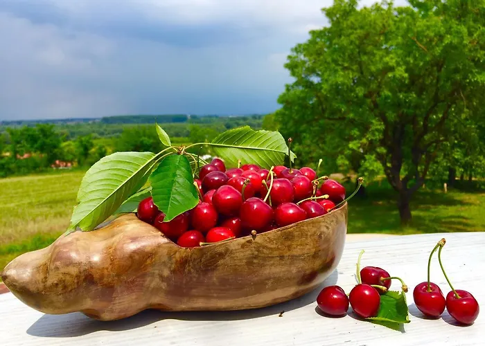 Honey Hill Fruska Gora Villa