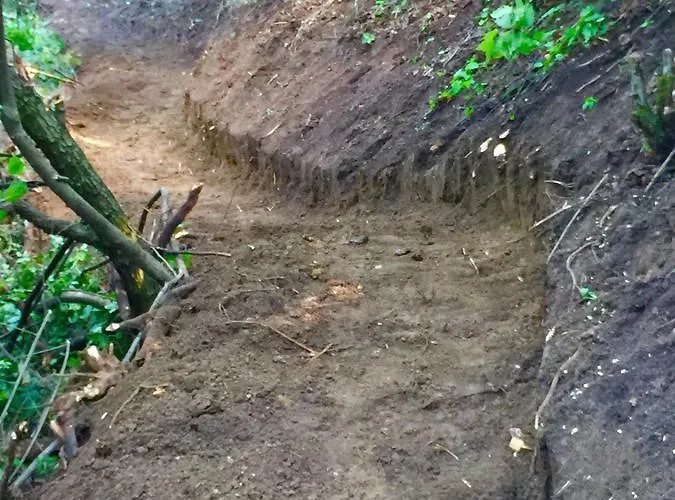 Honey Hill Fruska Gora Villa