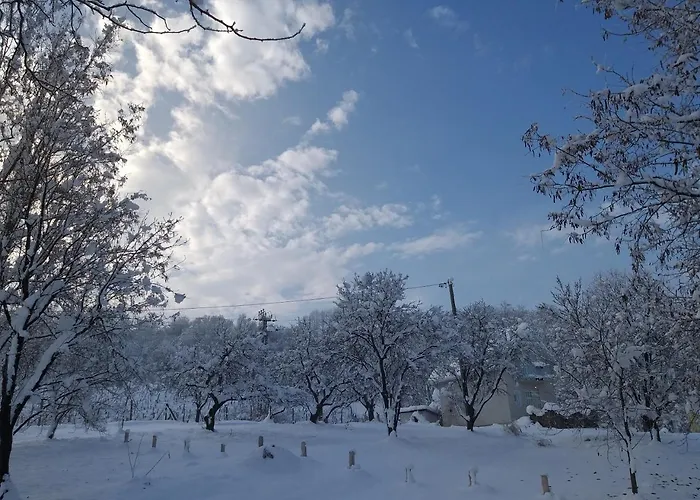 Honey Hill Fruska Gora *